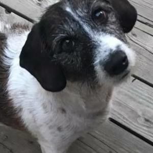 Meet your Posher, Franki